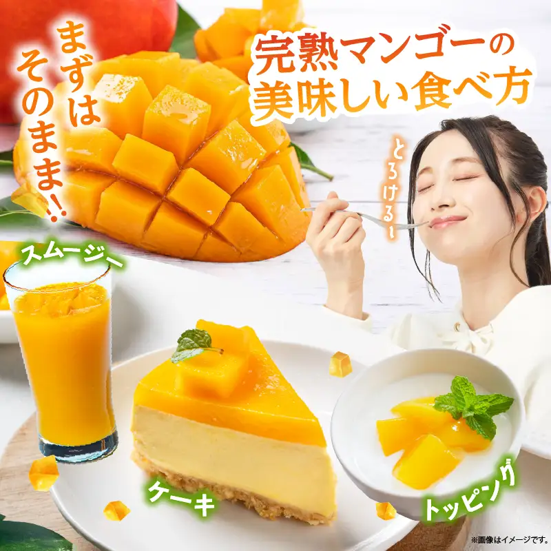 【訳あり】完熟マンゴー 2L×2玉（パック）濃厚 宮崎 果物 フルーツ 贈答 ギフト 甘い 先行受付 送料無料【JA綾町】_A0114-1101