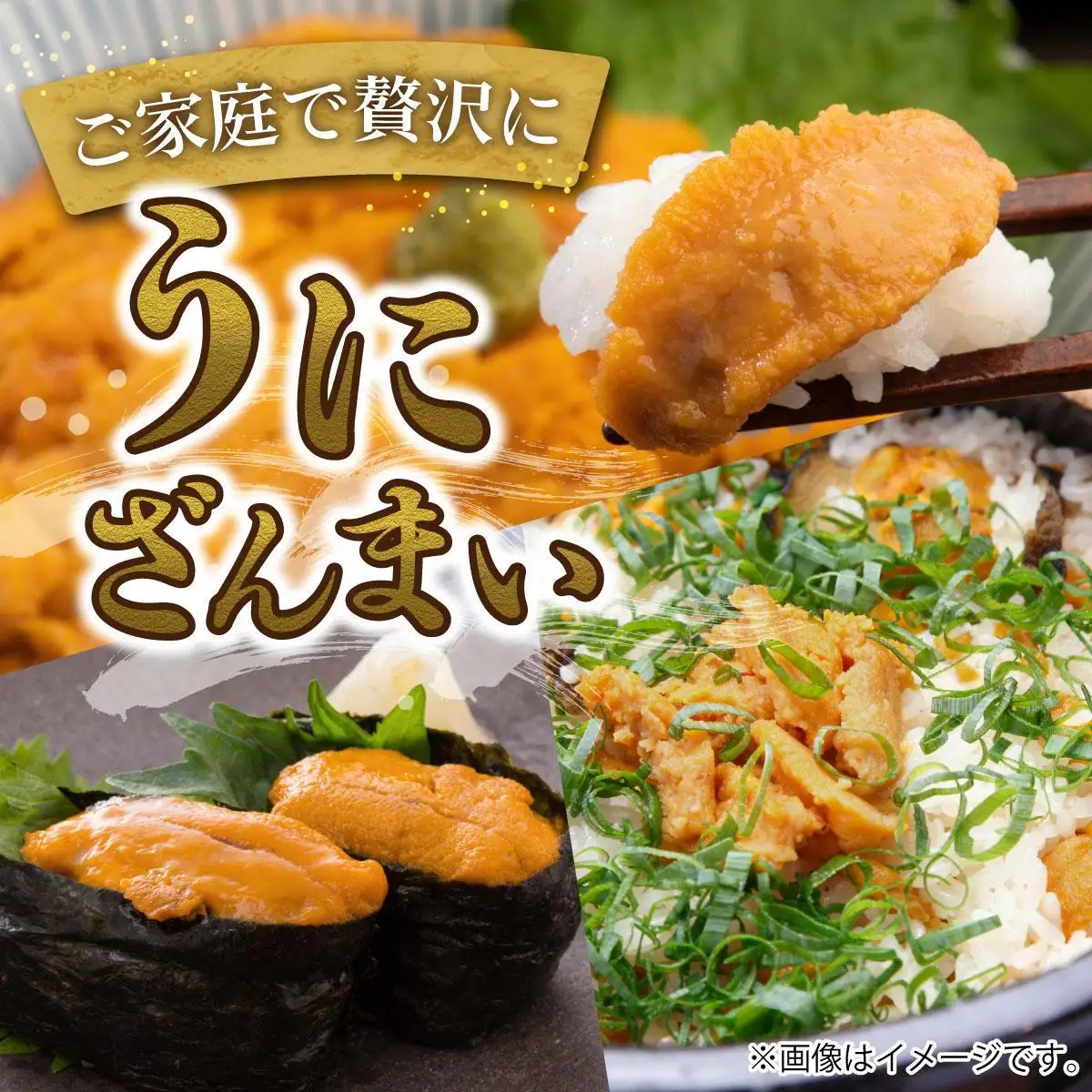 ＜先行予約＞ 北海道産 ムラサキウニ（正規品）200g【ogm-031】