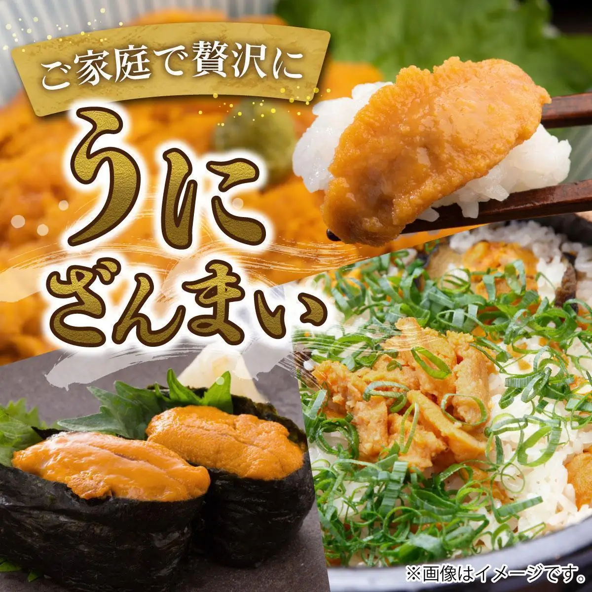 ＜先行予約＞ 北海道産 ムラサキウニ（正規品）800g【ogm-037】