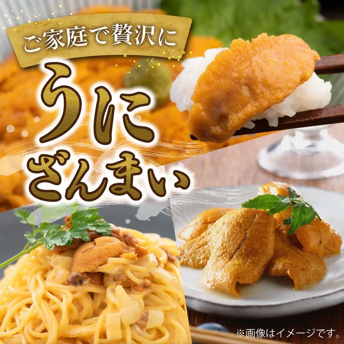 ＜先行予約＞ 北海道産 ムラサキウニ（訳あり）700g【ogm-045】