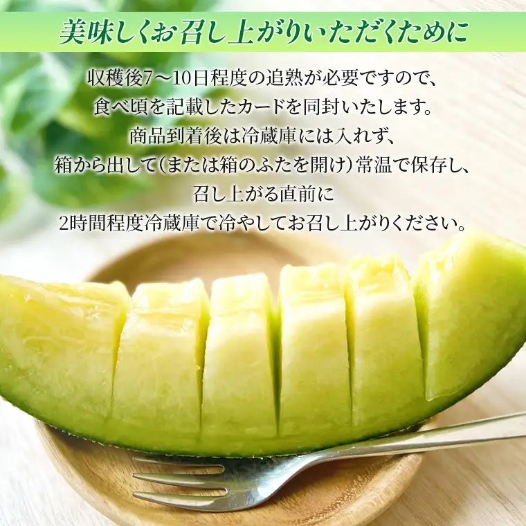 タカミメロン 3玉【5月下旬～7月上旬頃発送】　メロン工房 川上