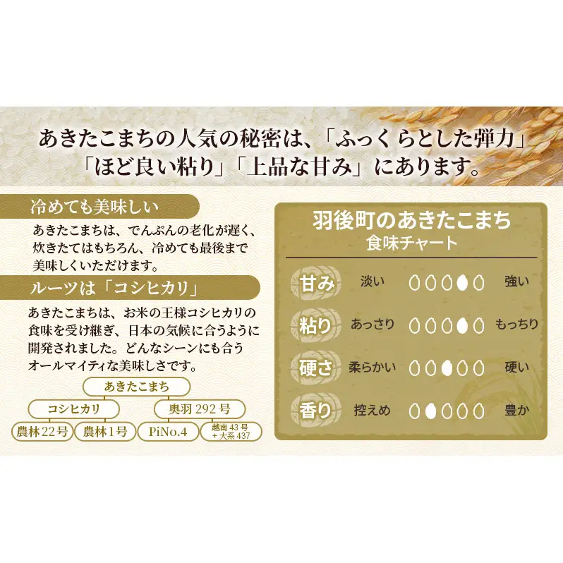 新米 先行予約［令和8年産］定期便 秋田県産 あきたこまち 15kg (5kg×3袋) 全6回 毎月お届け 羽後町産 [藤原商店]【米 お米 白米 精米 あきたこまち アキタコマチ 美味しい 秋田 羽後】