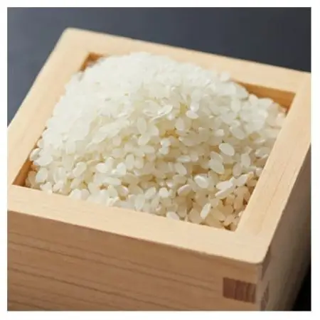 【発送月固定定期便】大阪府和泉市の農家さんが心を込めて作ったお米　1袋5kg　【単一品種】全3回【4086244】