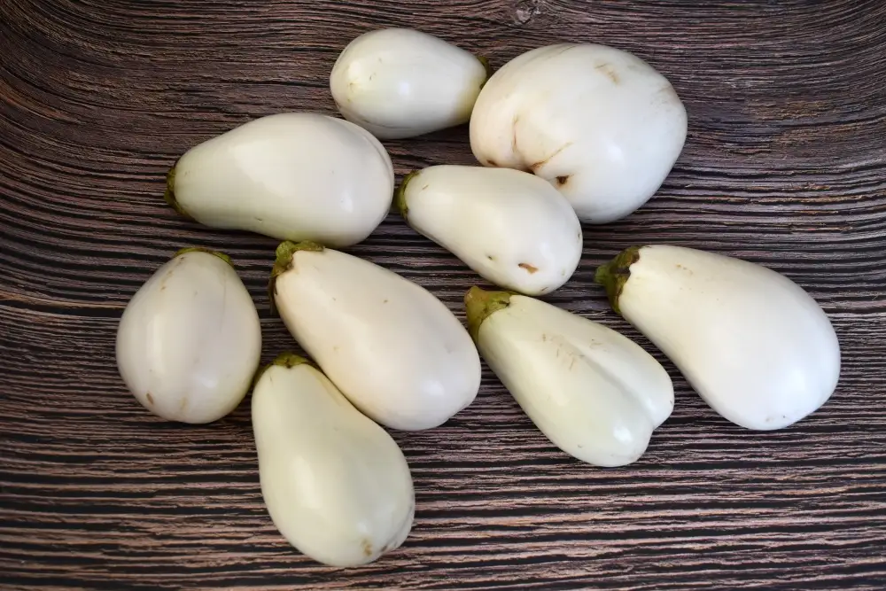 茄子 【訳あり】とろ～り旨なす(白茄子) 約2kg 8～9個【2026年7月初旬～9月末頃順次発送】奈良県 葛城市【bfrk002】