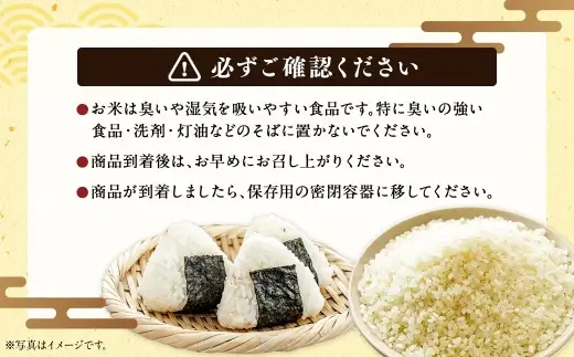 〈 令和8年産 〉浦臼産 ふっくりんこ 精白米 5kg お米 米 こめ コメ 白米 白飯 飯 ご飯 おにぎり ブランド米 ブランド 国産 北海道産 和食 魚料理 【 2026年11月上旬より順次発送 】