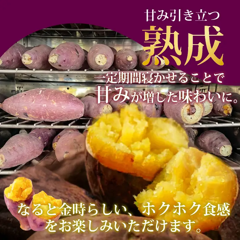 訳あり なると金時 5kg 熟成 さつまいも 鳴門金時