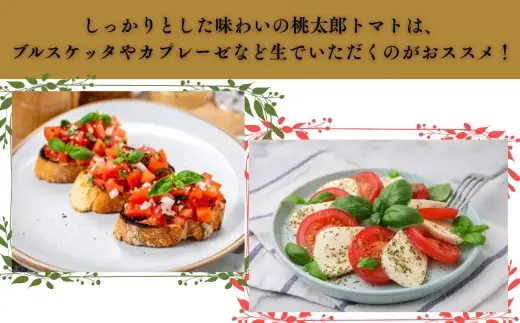 【9月発送】青森県産 桃太郎 トマト 約4kg 20玉前後 [fu-0022-002-09]