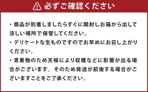 熊本市産 厳選 極上蜜柑 5kg 【2026年9月上旬～2027年1月下旬迄発送予定】 みかん ミカン 柑橘 フルーツ 果物