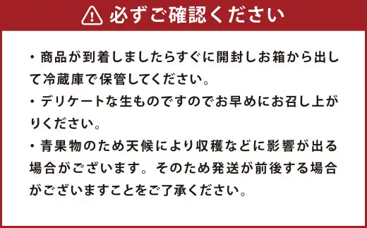 熊本市産 種ごと 丸ごと きんかん 約1.8kg 金柑 キンカン 【2027年1月下旬～2月下旬迄発送予定】
