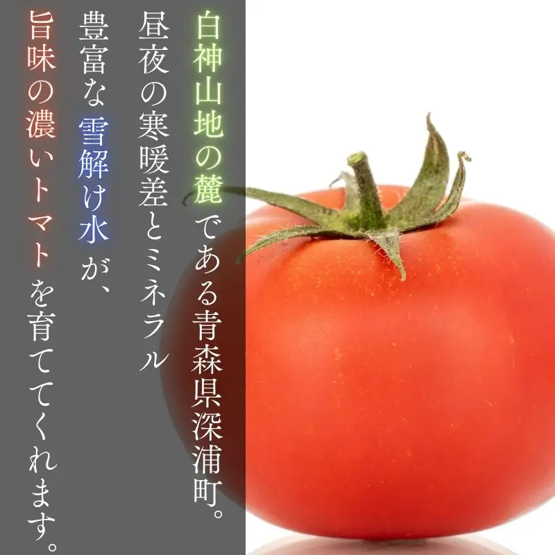【10月発送】青森県産 桃太郎 トマト 約4kg 20玉前後 大玉 tomato 新鮮 野菜 旬 甘い 完熟 ジュース 産地直送 農家直送 [fu-0022-002-10]