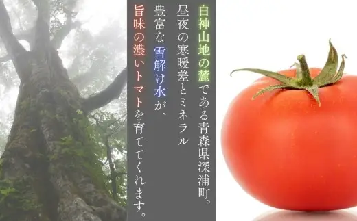 【9月発送】訳あり 青森県産 桃太郎 トマト 約4kg 大玉 tomato 新鮮 野菜 旬 甘い 完熟 ジュース 産地直送 農家直送 [fu-0022-003-09]