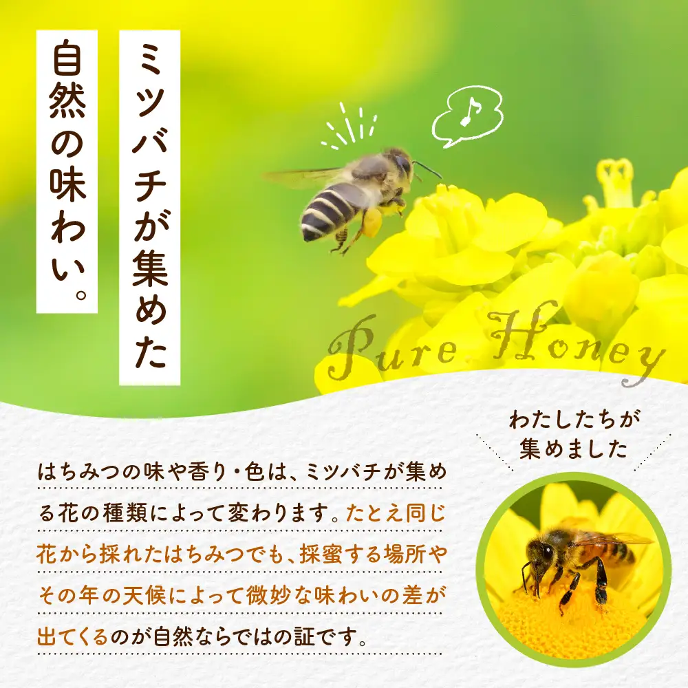 【2026年8月発送】はちみつ【千代田町の蜂蜜】300g「とち」はちみつ