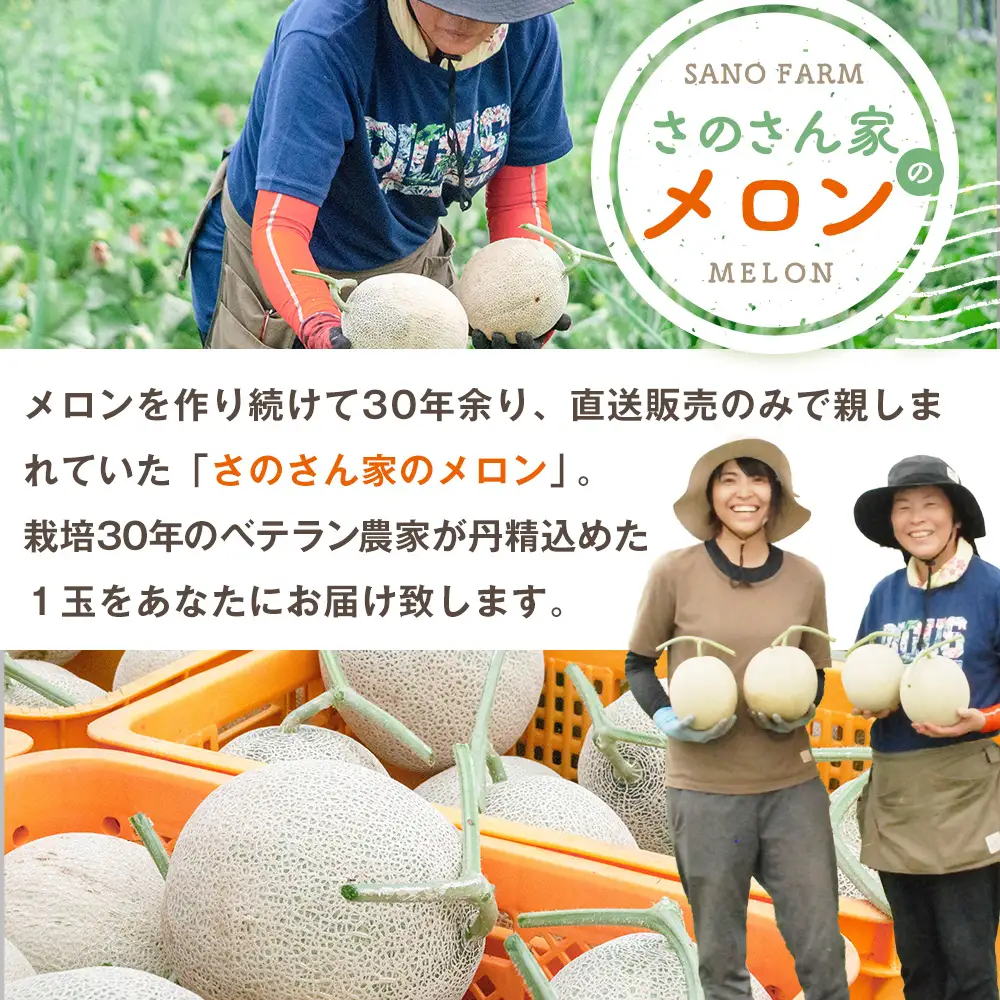 【R8年収穫分】【数量限定】さのさん家のメロン（L玉以上）２玉 湧き水栽培 さの農場 | 北海道津別町