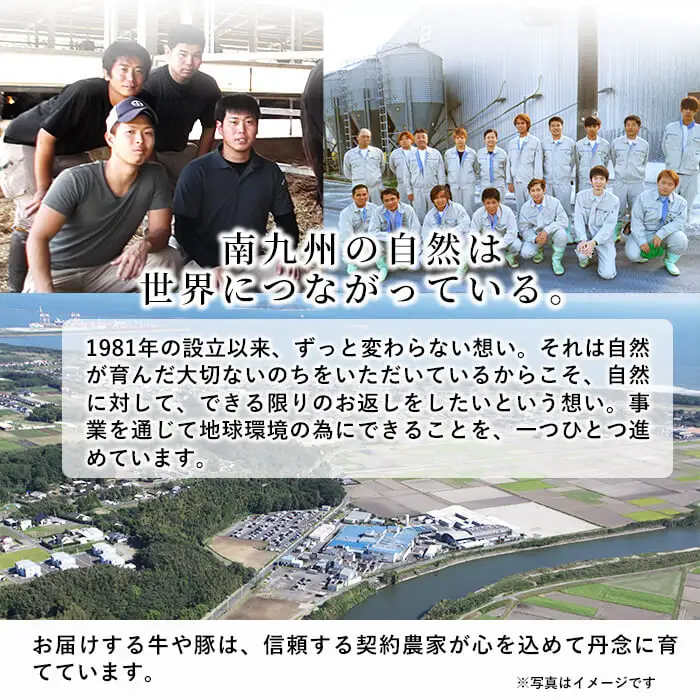 鹿児島県産黒毛和牛肩ロース焼肉用 (計600g・300g×2P) a4-114