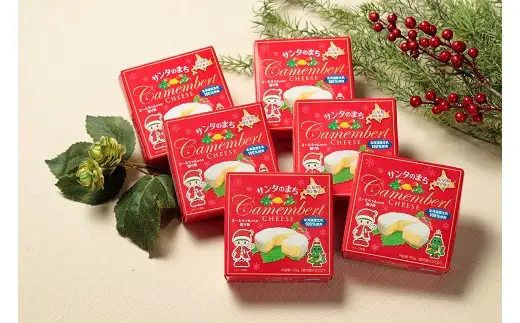 サンタランドのまち広尾町から限定パッケージでお届け カマンベールチーズ６個×６か月定期便【奇数月発送】(0046)