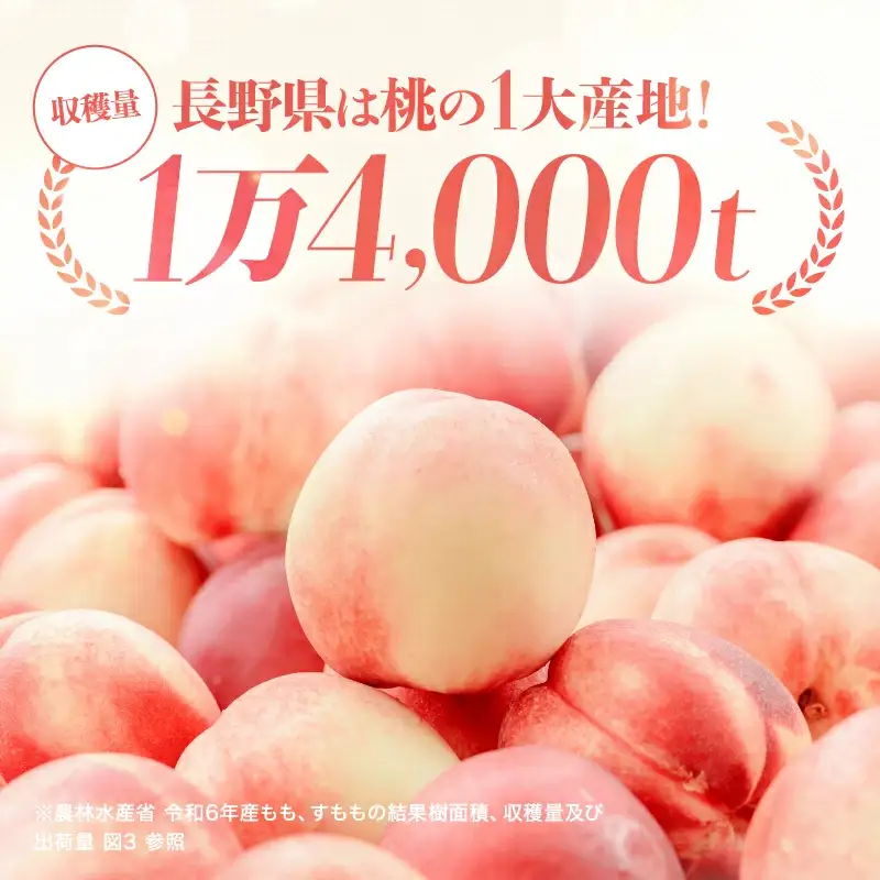 【先行受付】信州産桃 旬の桃（なつっこorあかつき）大玉 3kg（9～10玉）