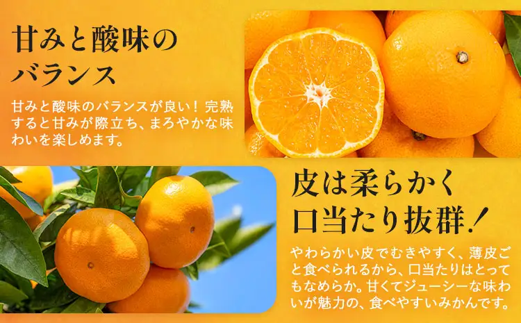 贈答用 温州みかん 約2.5kg 日本フルーツ株式会社 熊本県 荒尾市 《11月上旬-2月中旬頃出荷》 デコポン 果物 秀品 フルーツ スイーツ デザート ギフト ご贈答