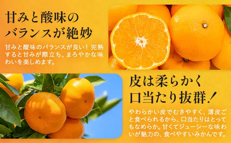 【3ヶ月定期便】 訳あり 温州みかん 約8kg 日本フルーツ株式会社 熊本県 荒尾市 《10月上旬-12月末頃出荷》 デコポン 果物 フルーツ スイーツ デザート