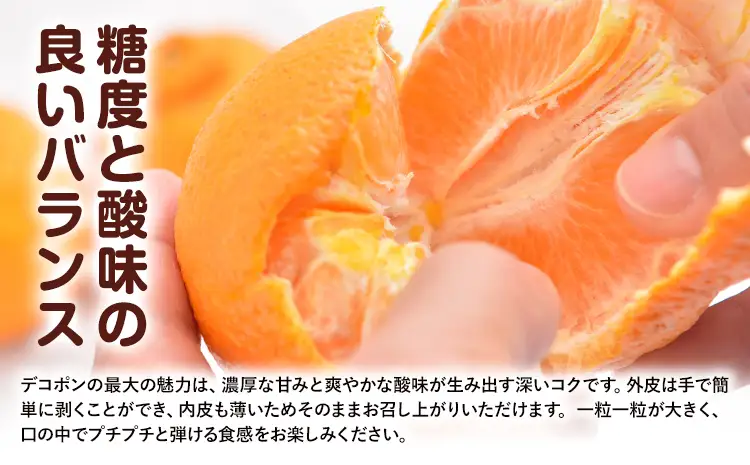 贈答用 デコポン  3kg  日本フルーツ株式会社 熊本県 荒尾市 《12月中旬-4月中旬頃出荷》 デコポン 果物 秀品 フルーツ スイーツ デザート ギフト ご贈答