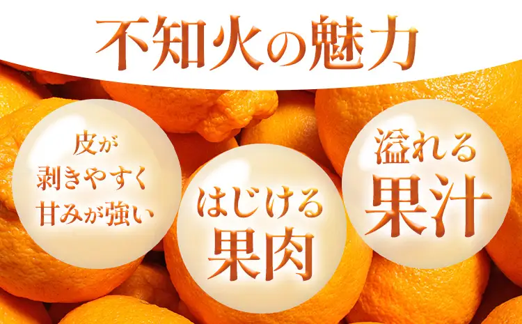 不知火   10kg  日本フルーツ株式会社 熊本県 荒尾市 《2月上旬-4月上旬頃出荷》 デコポン 果物 フルーツ スイーツ デザート ギフト ご贈答 しらぬい