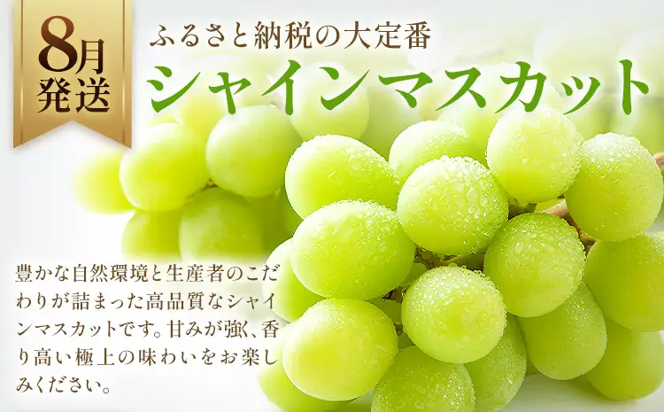 旬の プレミアム フルーツ 定期便 3ヶ月連続 秀品 ミニ 計4.9㎏ 日本フルーツ株式会社《8月上旬-10月末頃出荷》熊本県 荒尾市 シャインマスカット おまかせ 梨 極早生みかん 果物 フルーツ スイーツ デザート ギフト ご贈答