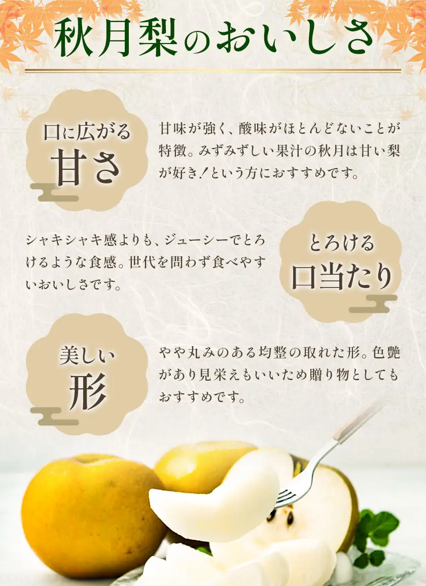 秋月梨 3㎏ 贈答用化粧箱（5～9玉） 日本フルーツ株式会社《9月上旬-9月末頃出荷予定》