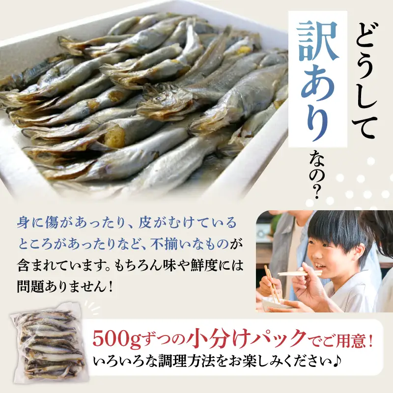 【訳あり】子持ちシシャモ 1.0kg（500g×2袋）mi0012-0187