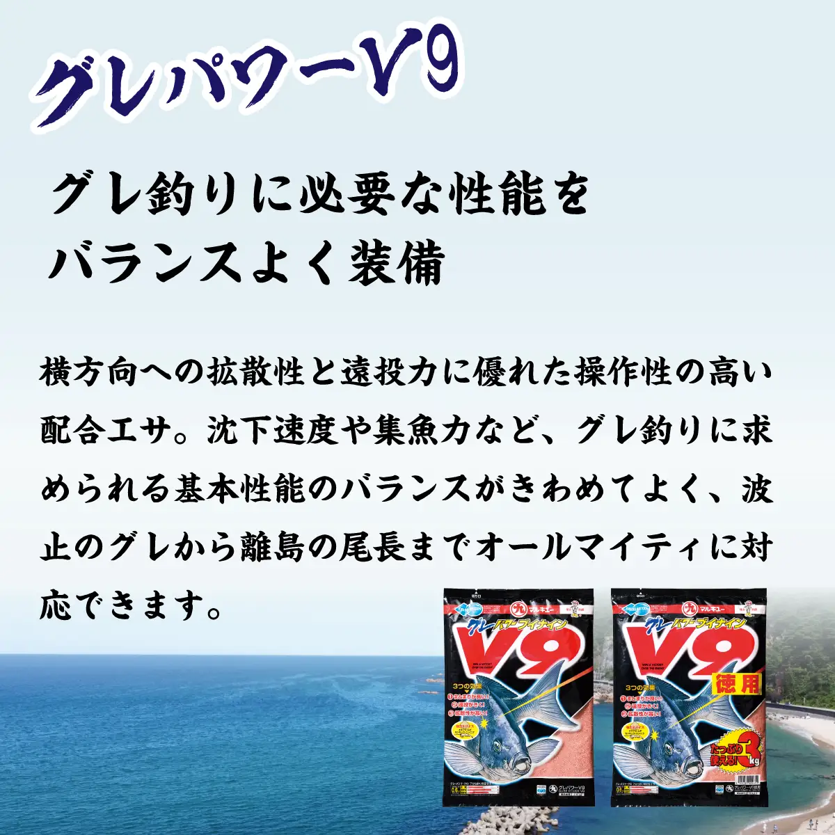 釣りエサ グレ 人気セット グレパワーV9 (徳用) ×2袋 グレパワーV9 ×2袋 爆寄せグレ ×2袋
