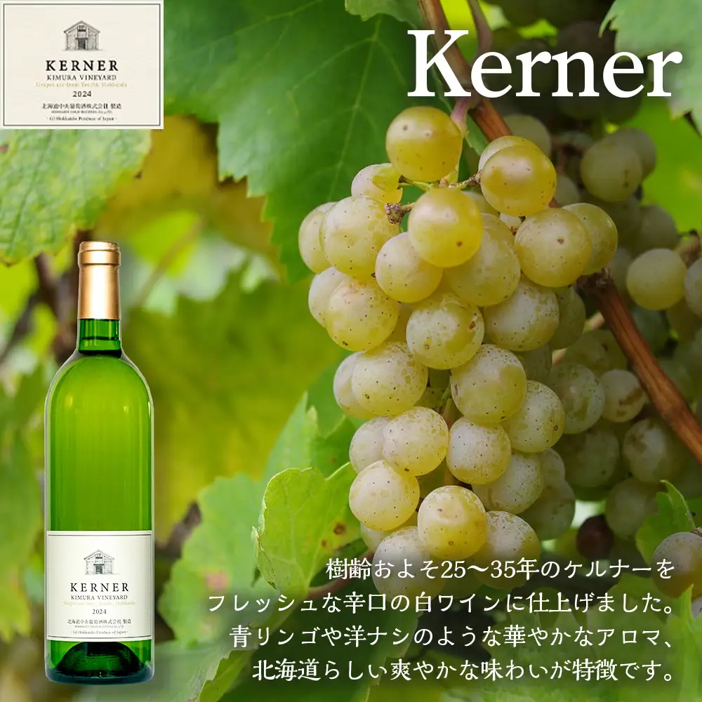 【数量限定】ピノノワール＆ケルナー2024 750ml×各1本 ワイン2本セット