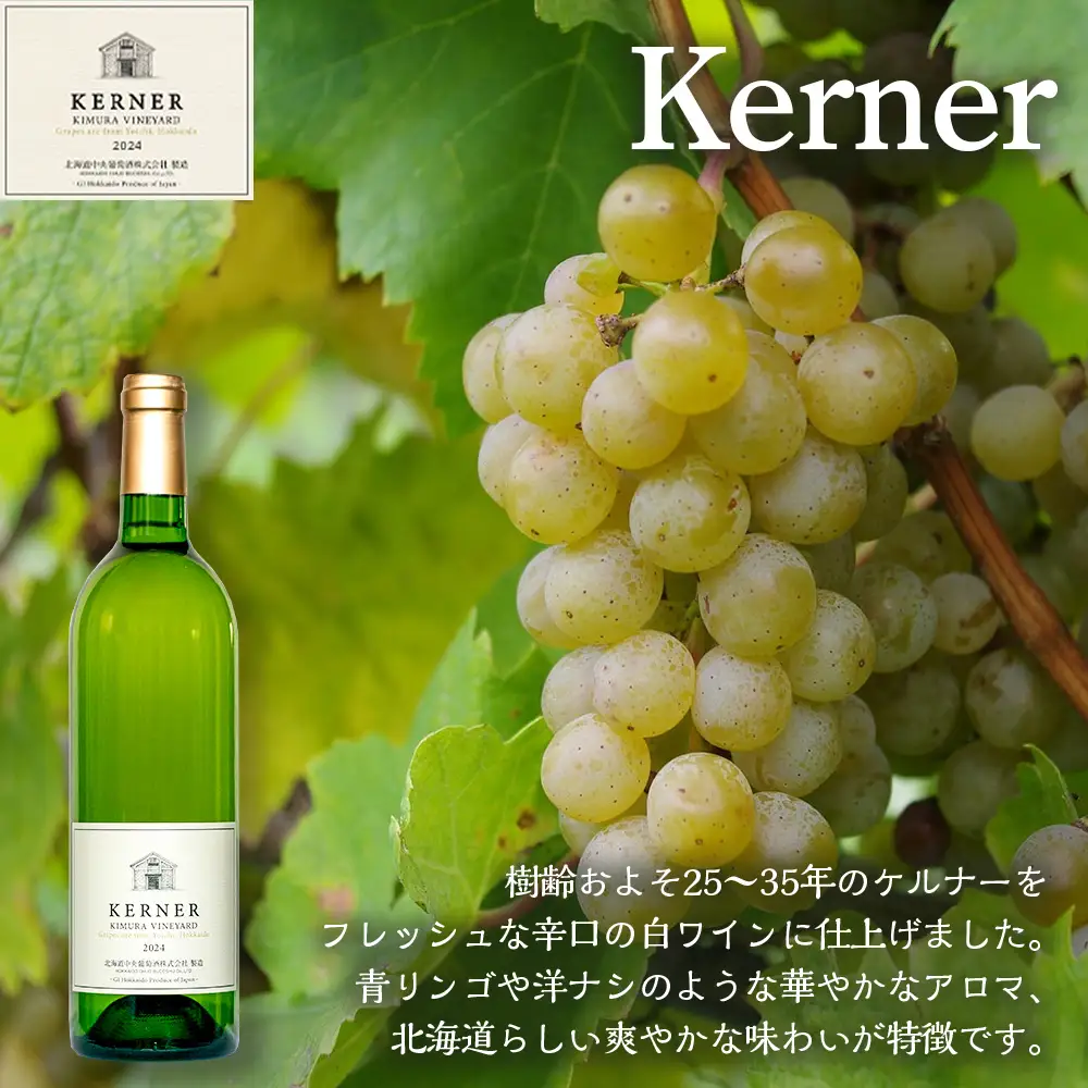 【数量限定】ピノノワール＆ケルナー2024 750ml×各3本 ワイン6本セット