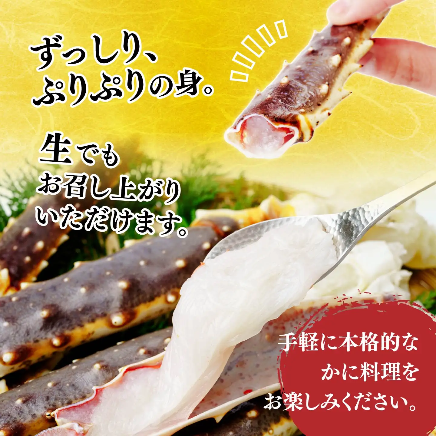 生たらばがに脚 5L×1肩(約1kg) 【5営業日配送】| タラバガニ 茨城県 ひたちなか市