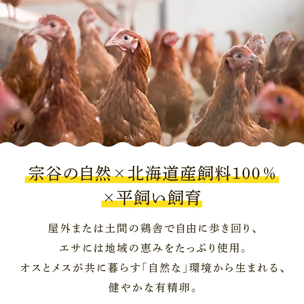 【3カ月定期便】宗谷のしおかぜたまご30個入