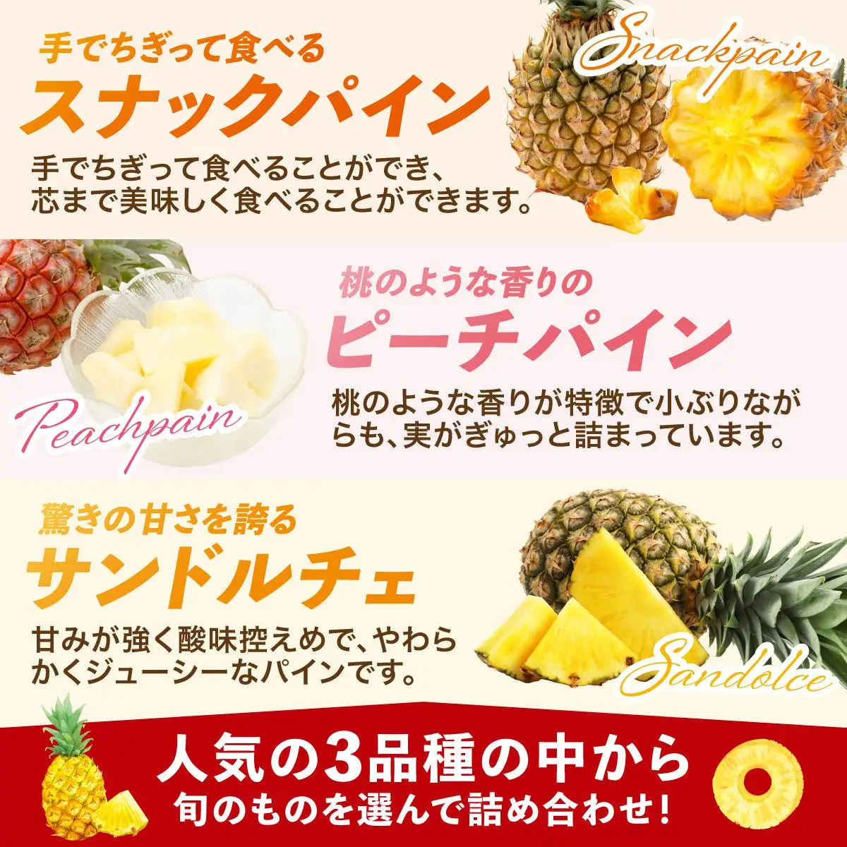 まーぼーの季節のパイン詰め合わせ 約3kg ＜2026年4月以降順次発送＞