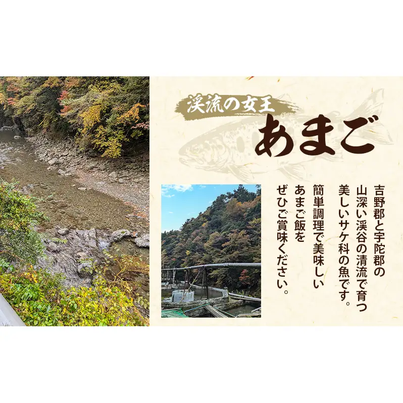 天空あまご混ぜ御飯の素　5パックセット | 惣菜 混ぜご飯 おかず ご飯の素 