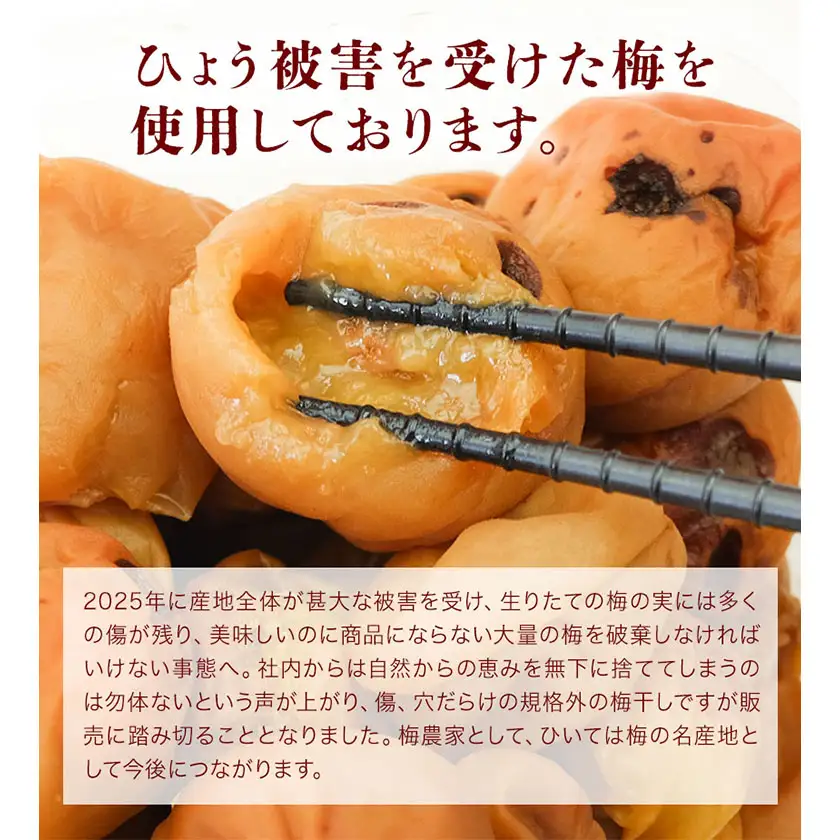  塩のみで漬けたすっぱい 梅干し 約1kg 500g 2パック 農業法人 株式会社紀州梅香