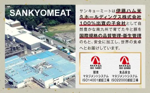 鹿児島牛肉・豚肉満喫定期コース（毎月1回お届け）ｘ全６回
