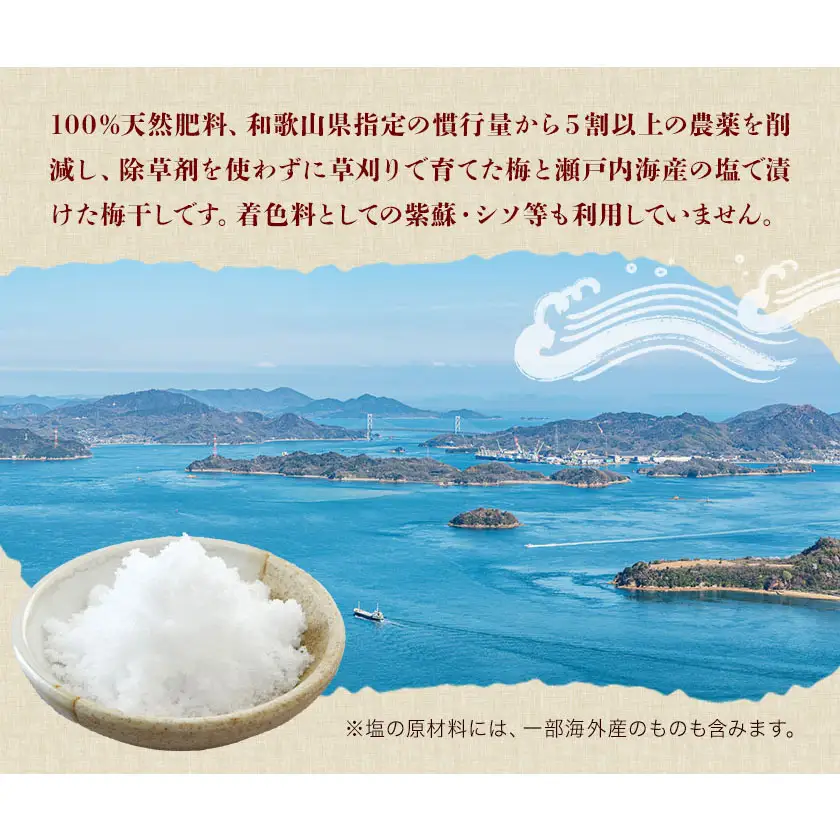 昔ながらの梅干し 訳あり つぶれ梅 約1kg 500g 2パック 農業法人 株式会社紀州梅香