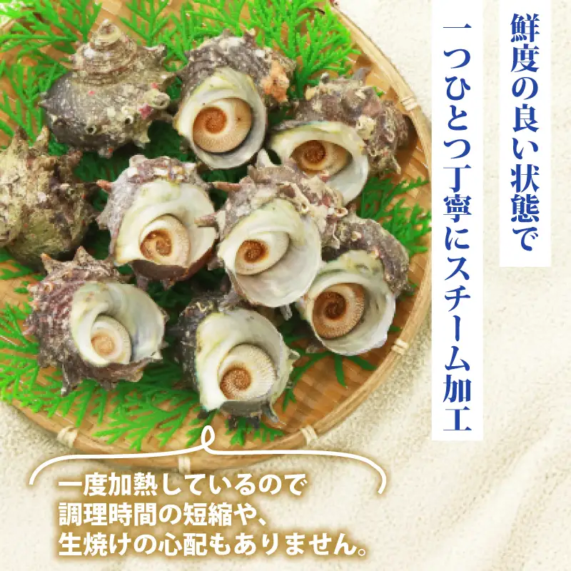 冷凍スチーム サザエ 5～10個 冷凍 約 1kg 下関 山口 《さわ水産：SW》 SW-SZ002