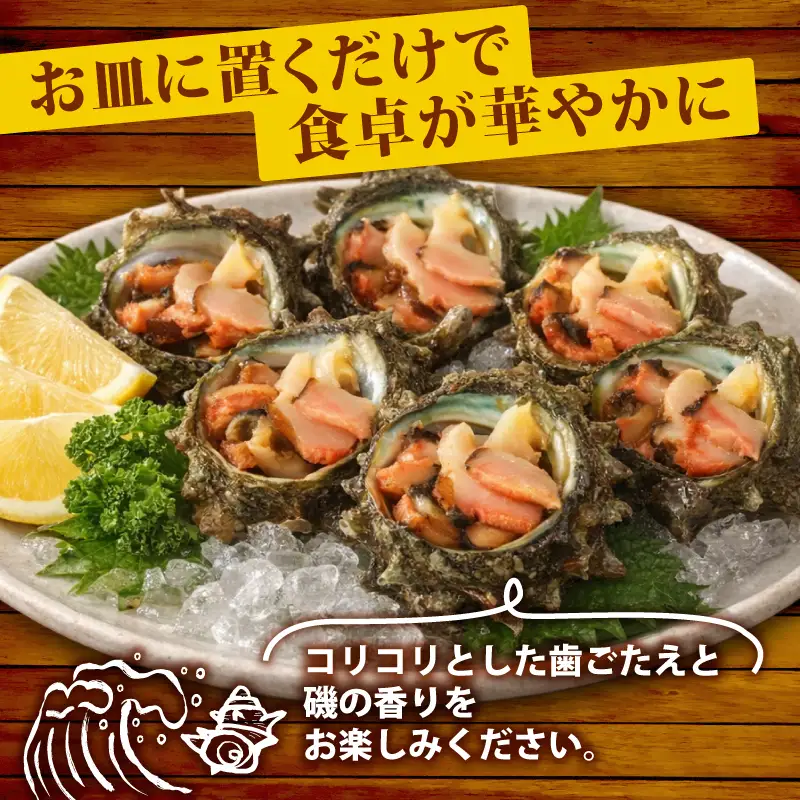 冷凍 お造り サザエ 10～14個 冷凍 下関 山口 《さわ水産：SW》 SW-SZ003