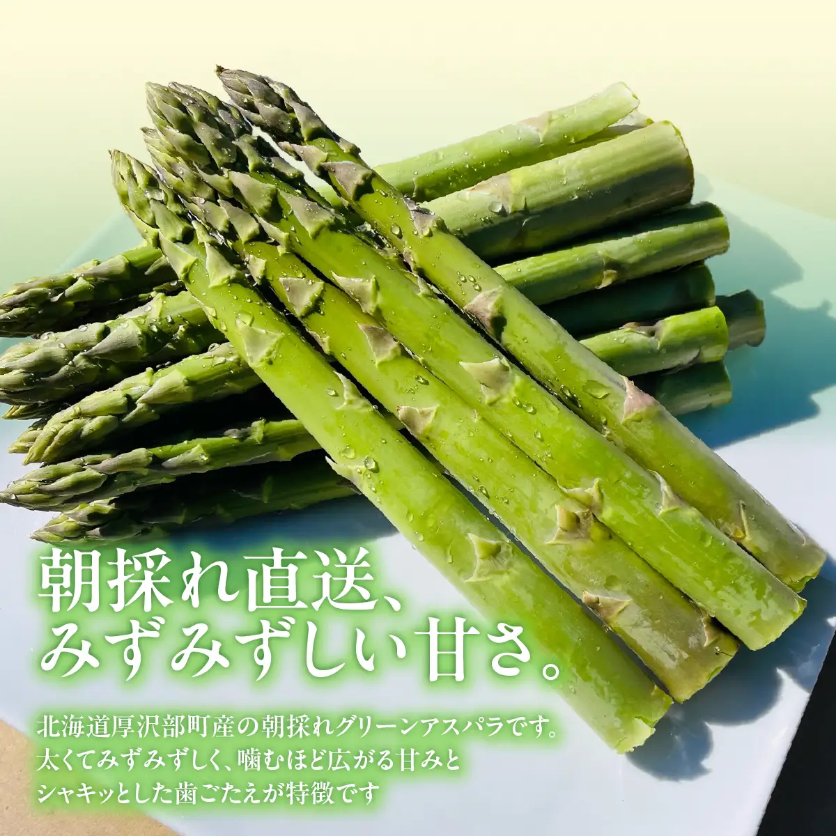 【2026年6月下旬頃より順次発送】北海道厚沢部町産 グリーンアスパラ L～2L混合 約1.3kg ASG046