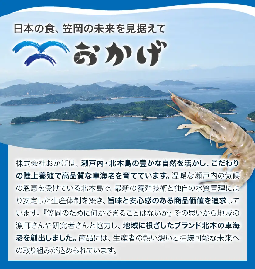 無選別 北木のせんべい車海老 われせん 90g 株式会社おかげ 煎餅