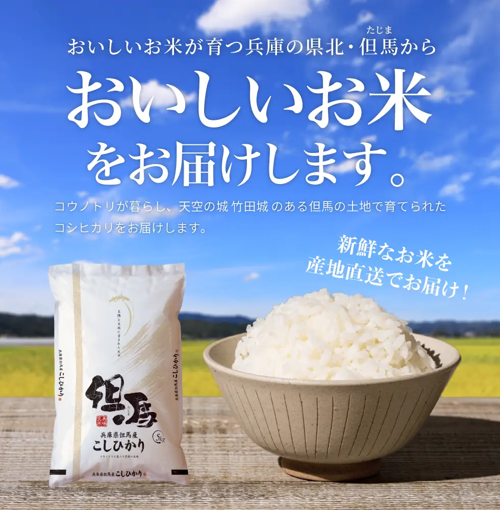 令和7年産 但馬産 コシヒカリ 特Aランク 5kg / 兵庫県産 こしひかり 産地直送 新鮮 お米 米 精米 白米 コメ こめ ご飯 ごはん ライス 送料無料 おにぎり お弁当 和食 洋食 コウノトリ羽ばたく会