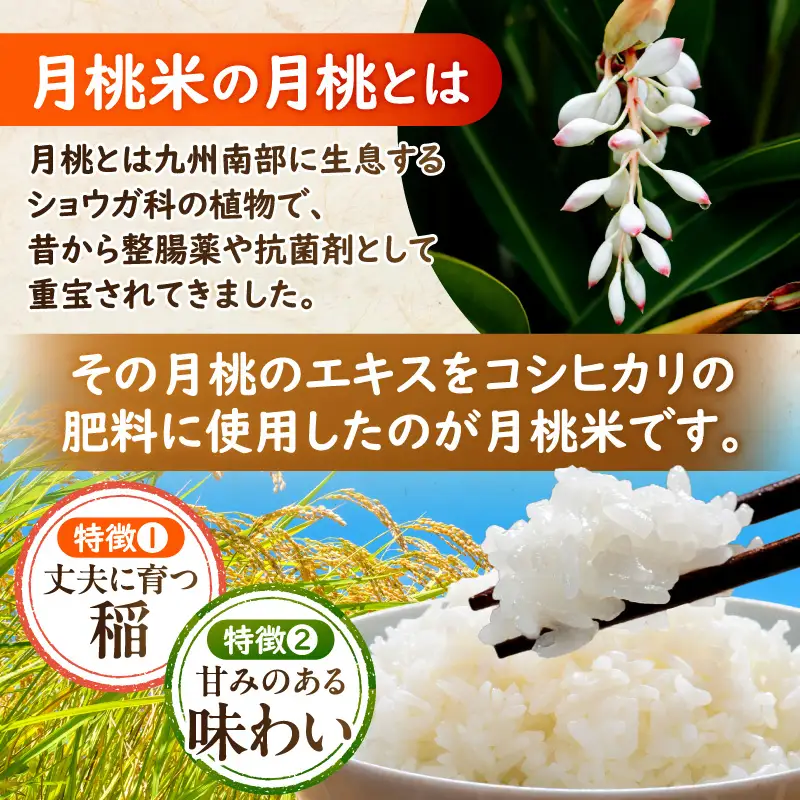 《令和7年産》特別栽培米 宮崎県産月桃米コシヒカリ お米 米 白米