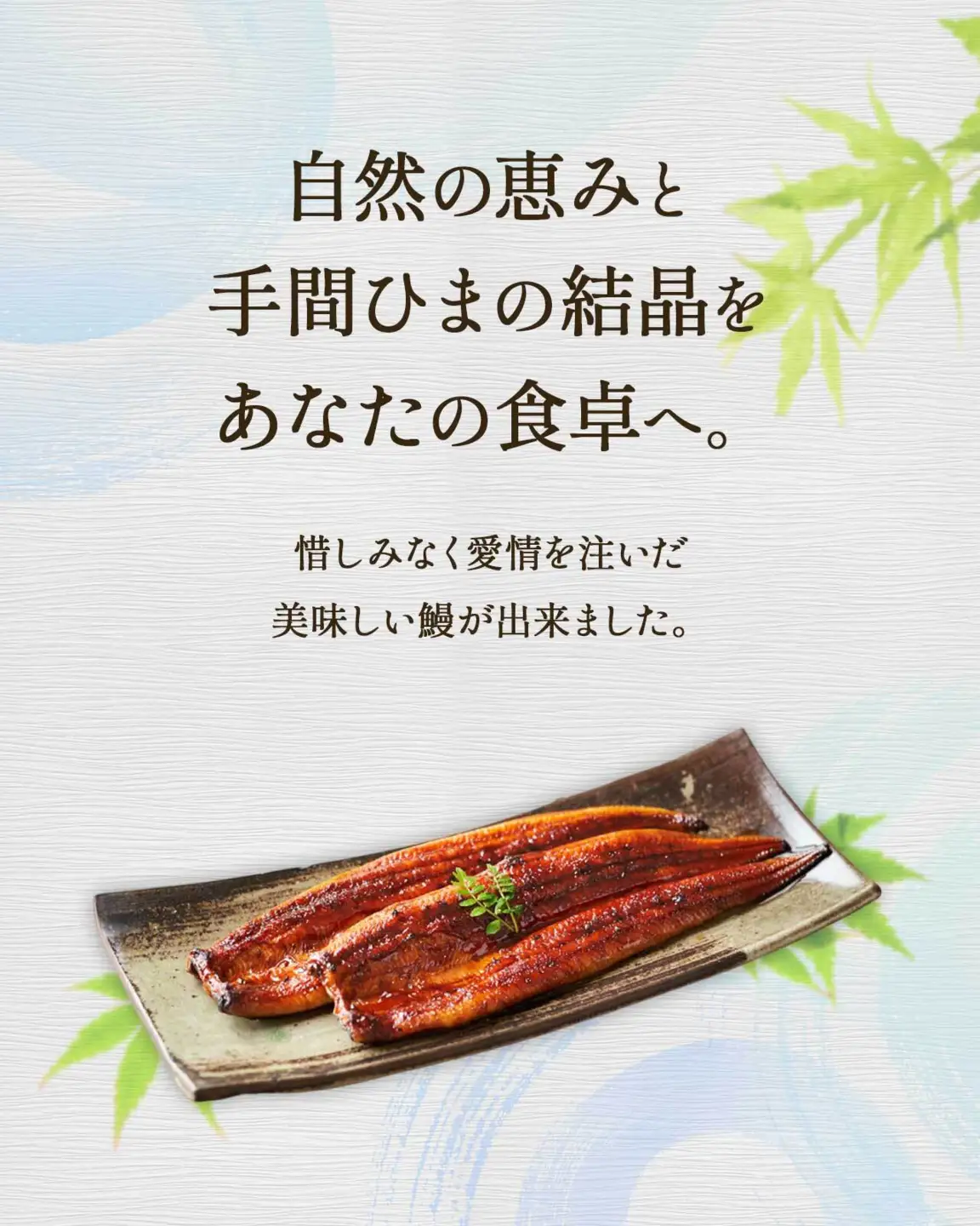 【土用丑の日】ふるさと納税限定　鹿児島県大崎町産 国産 うなぎ長蒲焼 3尾 計480g以上 | 鰻 うなぎ蒲焼き うな重 ひつまぶし ウナギ 蒲焼 人気 おすすめ 鹿児島 大隅半島 DU002　