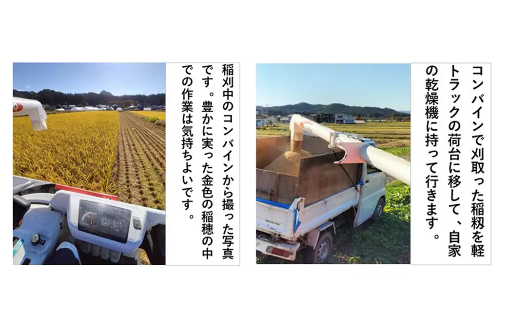 【令和7年産】秋田県産「あきたこまち」玄米5kg（5kg×1袋）　【90P9036】