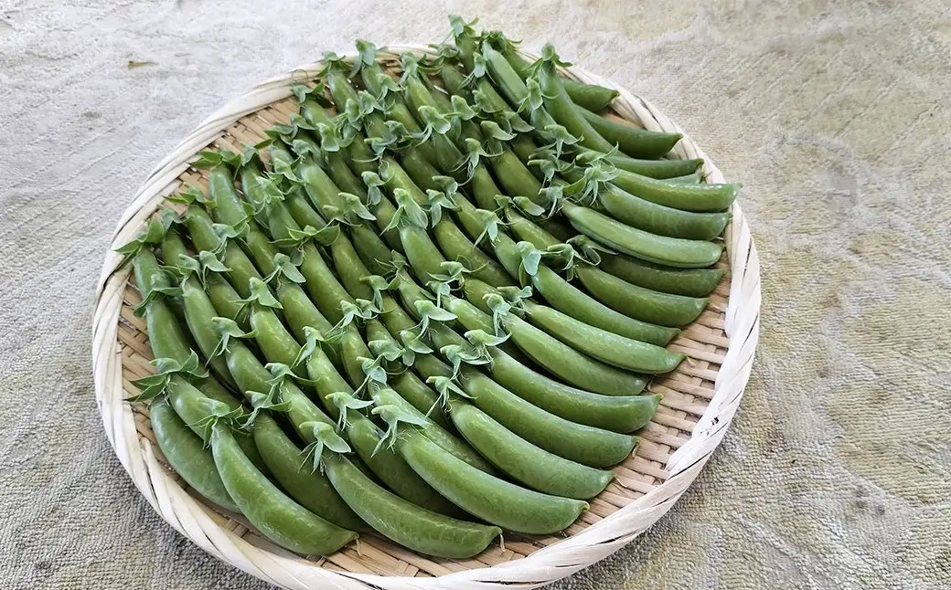 スナップエンドウ プリッと甘い!約700g　【35P3206】