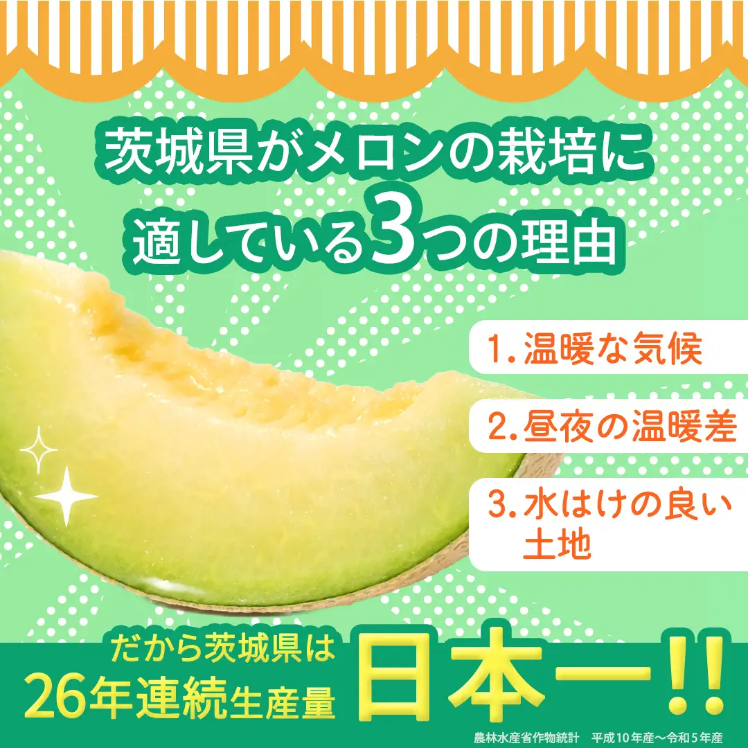 【定期便】 アールスメロン 1玉 × 6か月連続