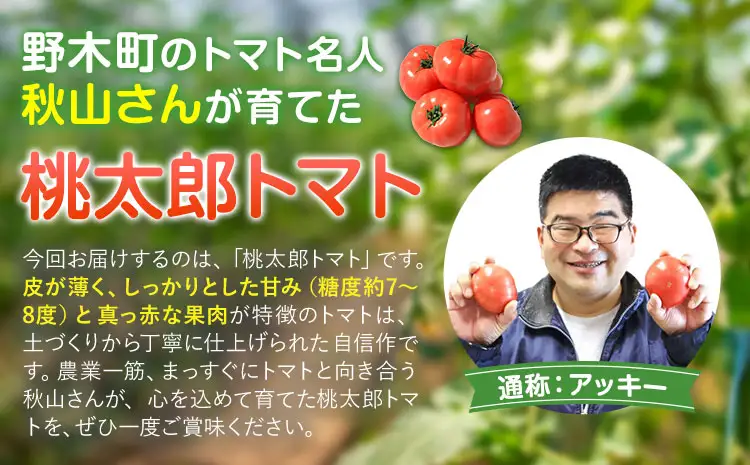 トマト 栃木県 野木町産 トマト 桃太郎 約2kg 秋山農園《3月上旬-7月上旬頃出荷予定》