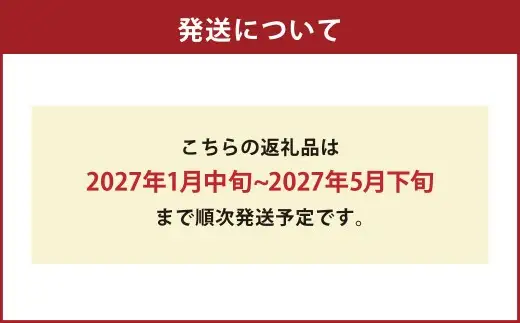 訳ありトマト 8～14玉 （約2kg）【2027年1月中旬～5月下旬発送予定】 トマト 訳あり とまと 野菜 新鮮 新鮮野菜 ZS-995