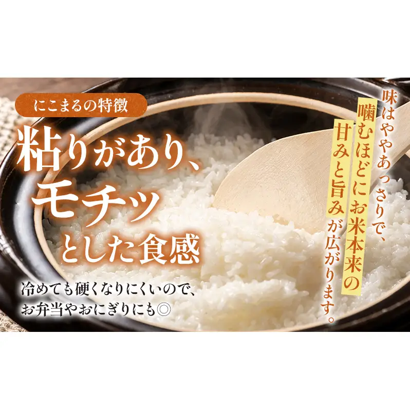 【令和7年度産】静岡県産米 にこまる 特A 5kg 川島米穀店 お米 精米 こめ ご飯 白米 静岡 浜松市